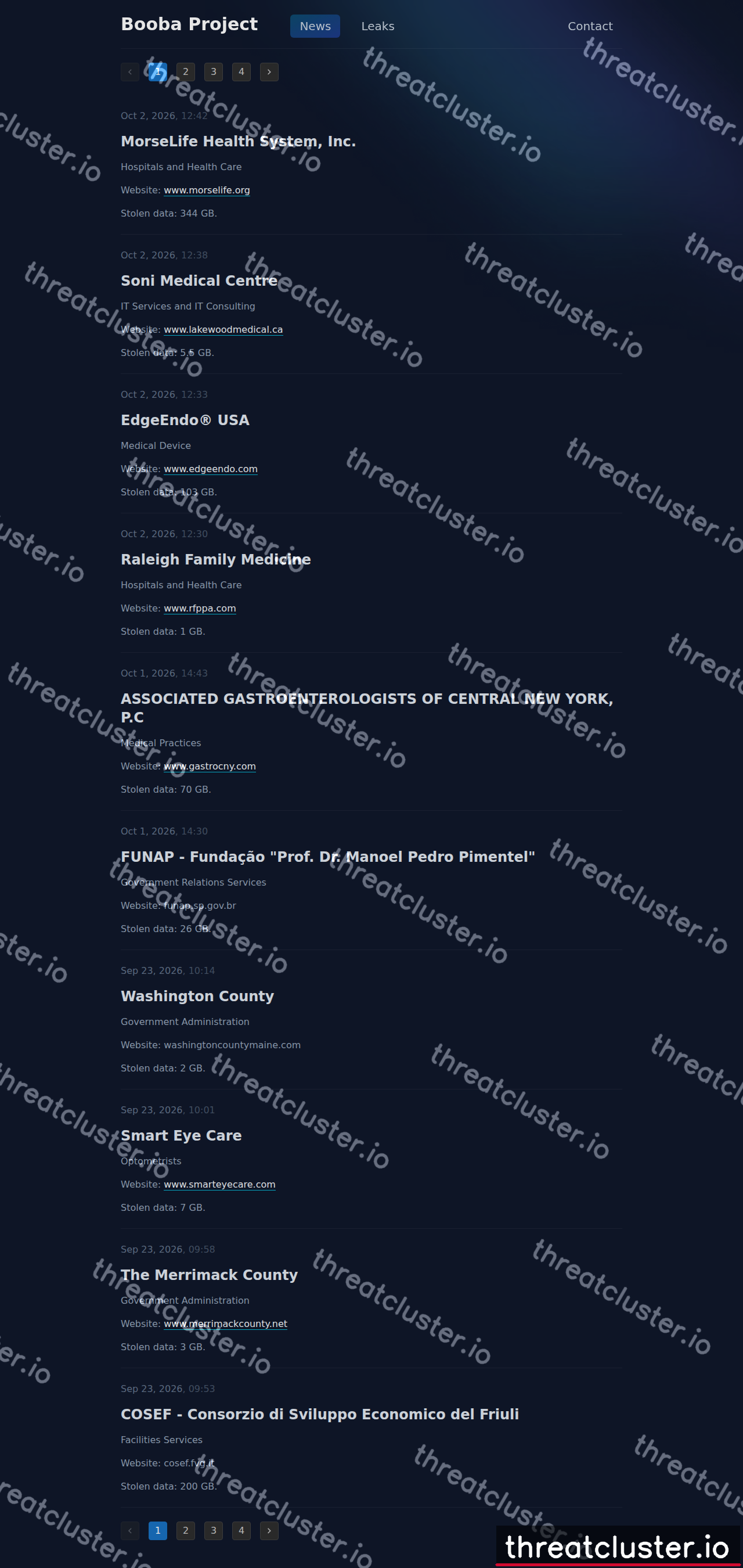 Leak site of booba project, captured by ThreatCluster