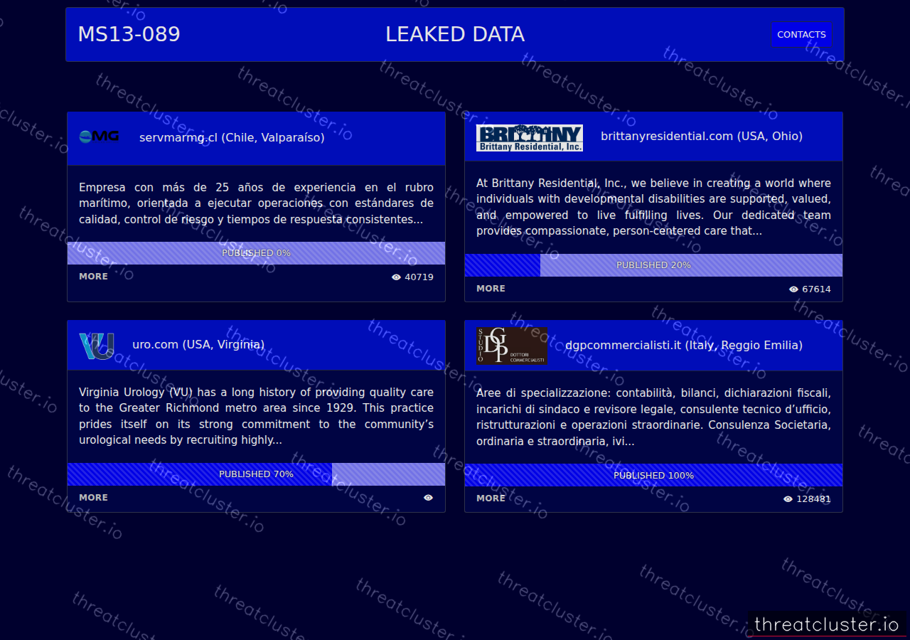 Leak site of ms13089, captured by ThreatCluster