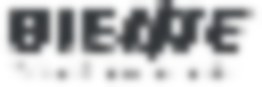 Leak-site image 2 for BiesSse Group