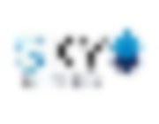 Leak-site image 2 for Sky Solutions