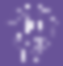 Leak-site image 2 for Sociedad Latina