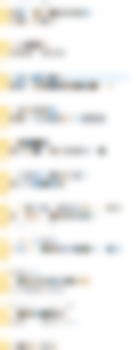 Leak-site image 10 for Bloom Financials